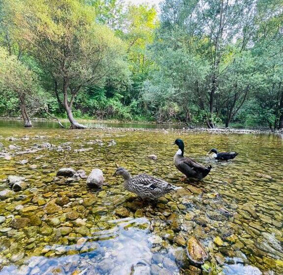 پانسیون Skala Luxury Rooms