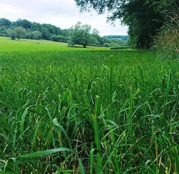 Bed and Breakfast Cent Trente