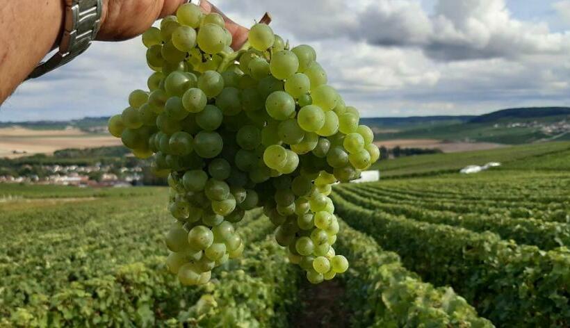 צימר Les Doyennes