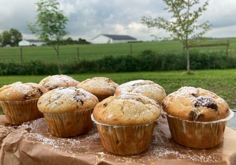 Enkegården Gårdshotell