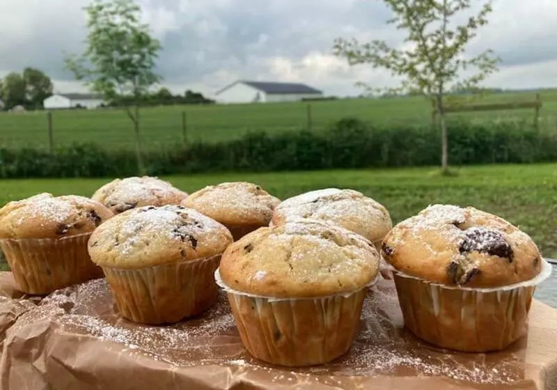 Enkegården Gårdshotell