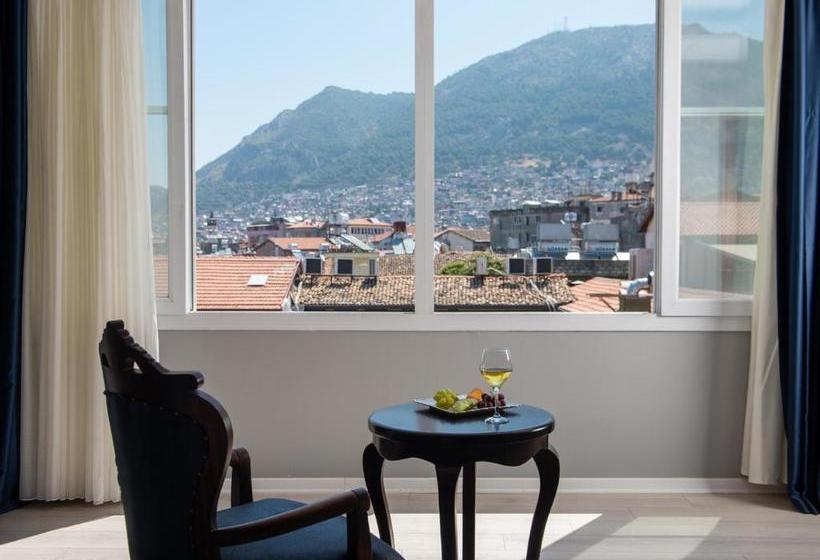 酒店 Voyage Elegante