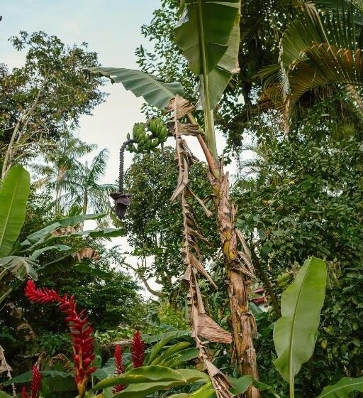 پانسیون Pousada Maná