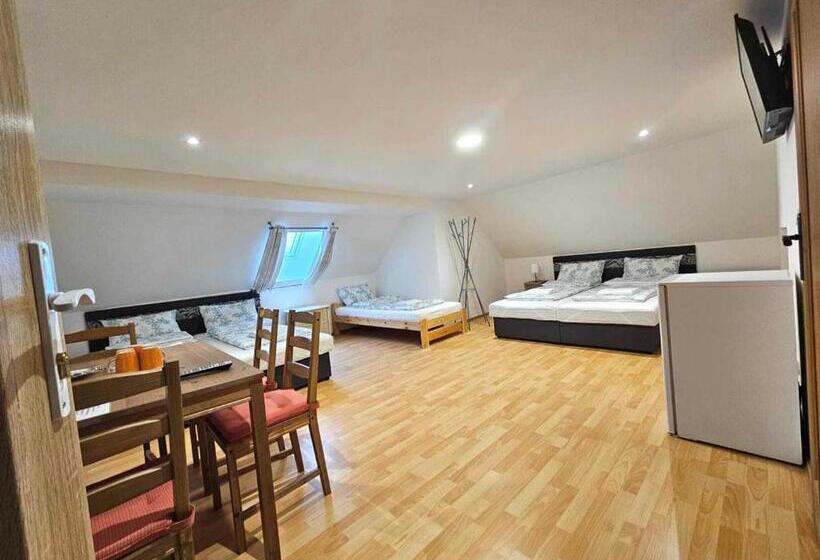 פנסיון Ubytování U Tranů