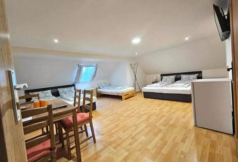 ペンション Ubytování U Tranů