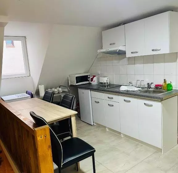 ペンション Ubytování U Tranů