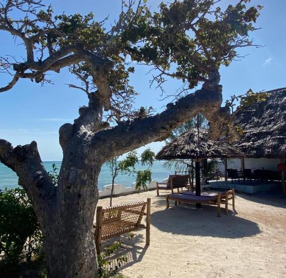 酒店 Lala Land Lodge