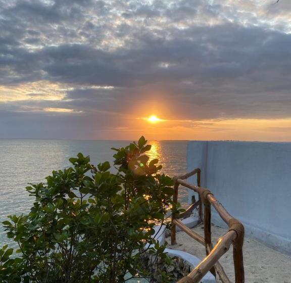 酒店 Lala Land Lodge