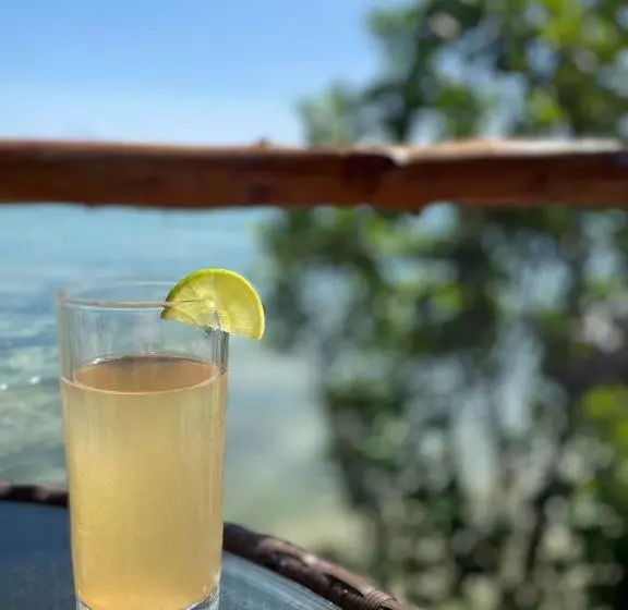 ホテル Lala Land Lodge