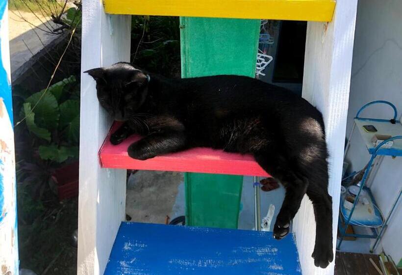 پانسیون Happy Island Miyako