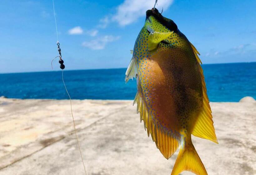 پانسیون Happy Island Miyako