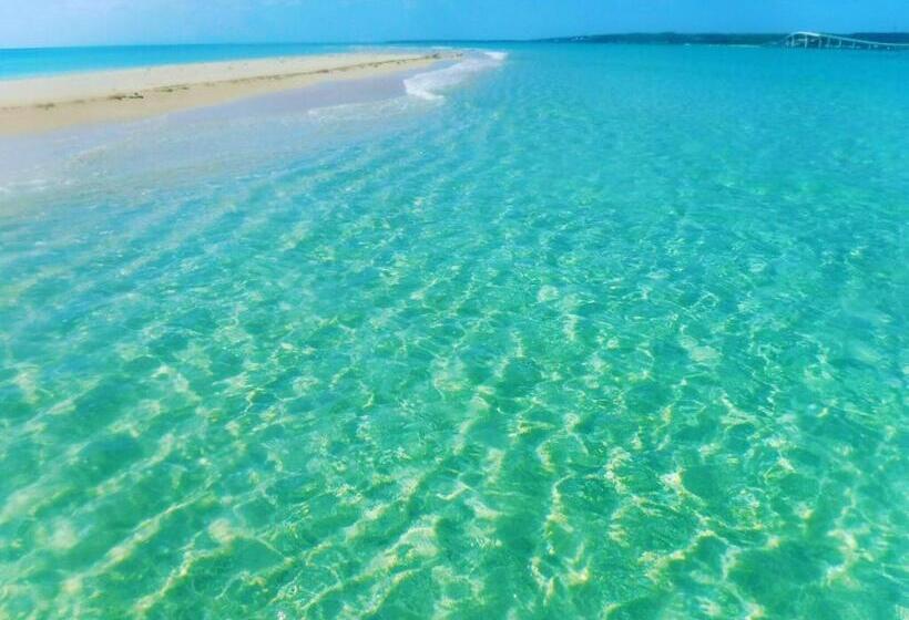 پانسیون Happy Island Miyako