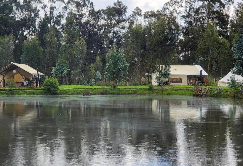 פנסיון Palumbo Glamping & Villas