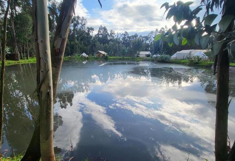 פנסיון Palumbo Glamping & Villas