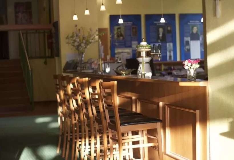 Acron Hotel Wittenberg