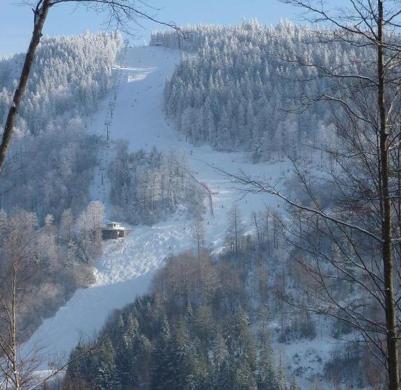 Akzent Hotel Lawine