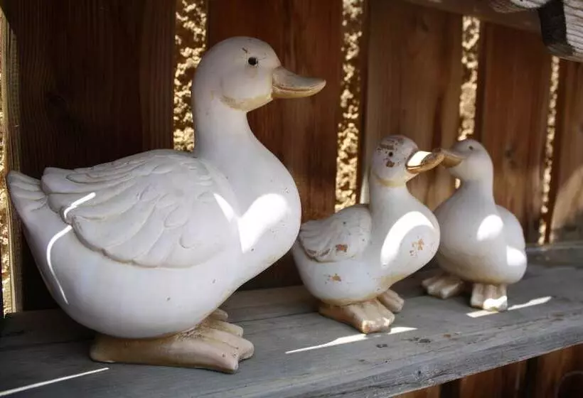 ホテル Chateau De Camurac