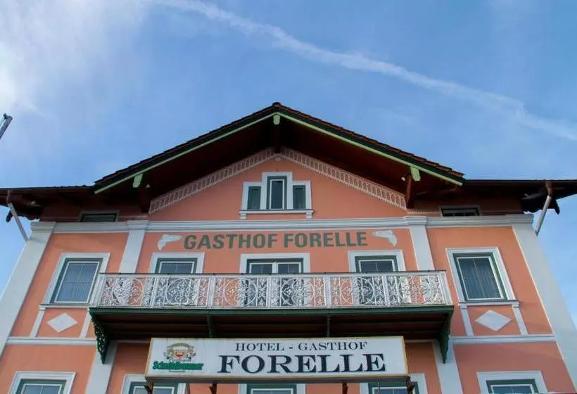 Hotel Gasthof Forelle