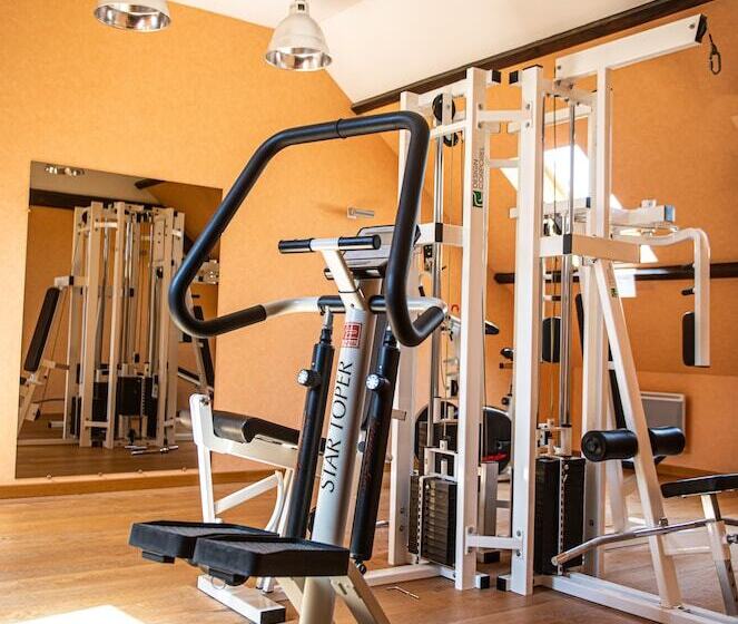 酒店 Logis Hôtel Borel