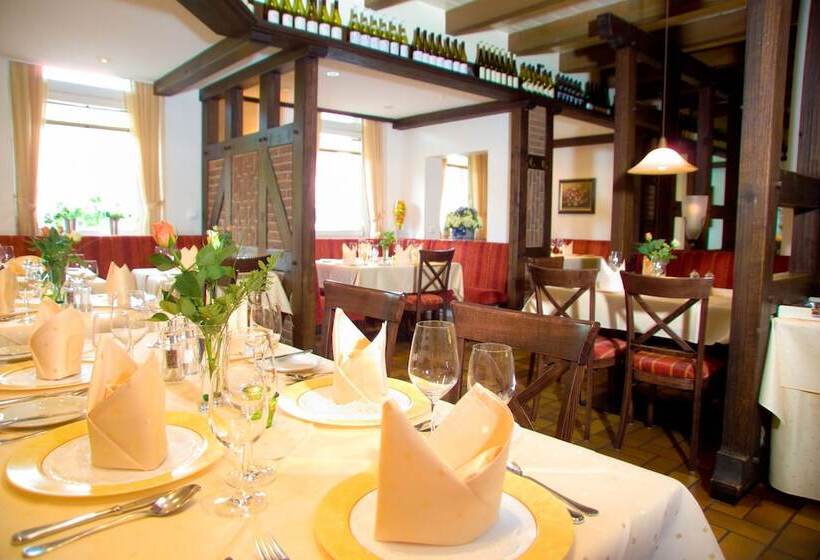 酒店 & Apartments Leugermann