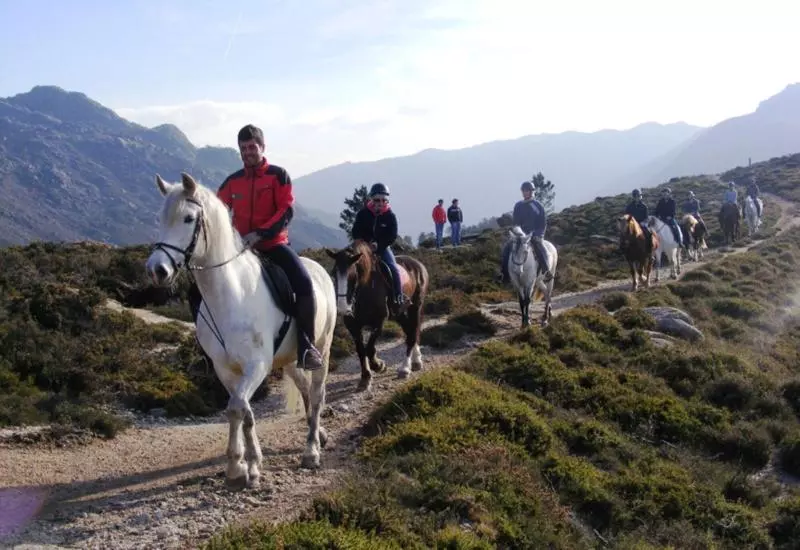 Отель Peninsular