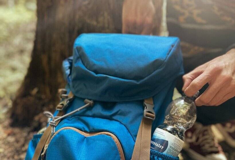 Schwarzwaldhotel Gengenbach