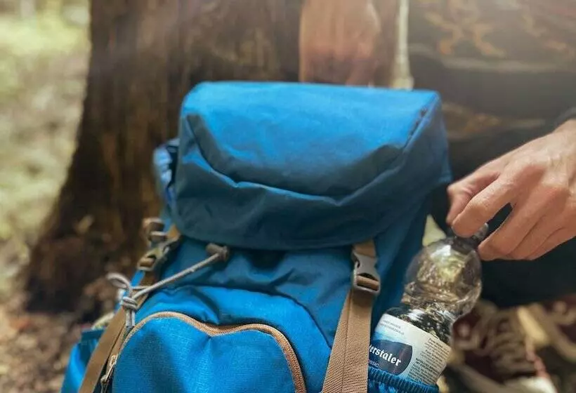 Schwarzwaldhotel Gengenbach