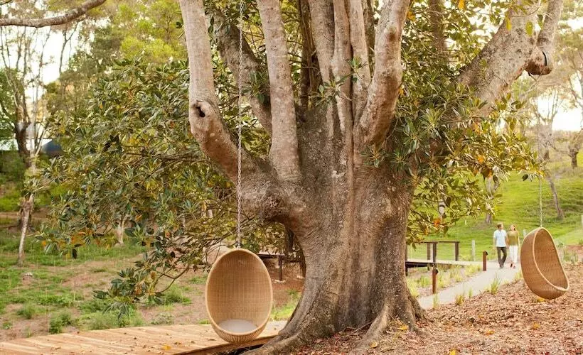 호텔 Spicers Tamarind Retreat