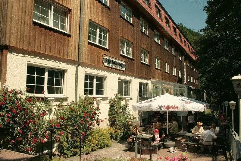 Waldhotel Am Ilsestein