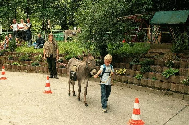 Waldhotel Am Ilsestein