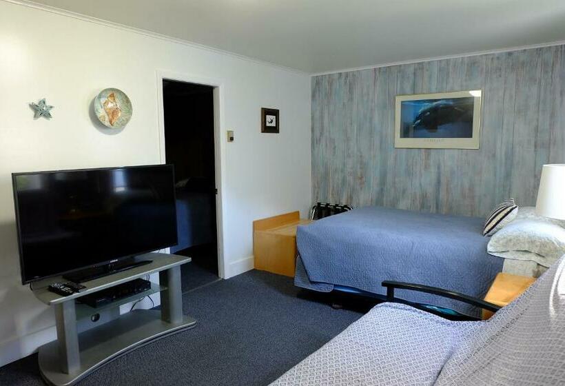 הוסטל The Tides Inn