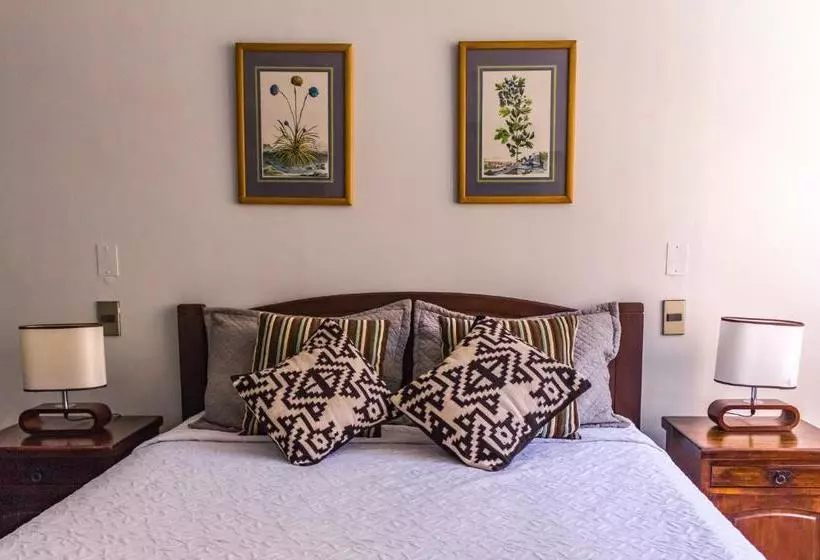 Alessandria Apart   El Bosque Norte