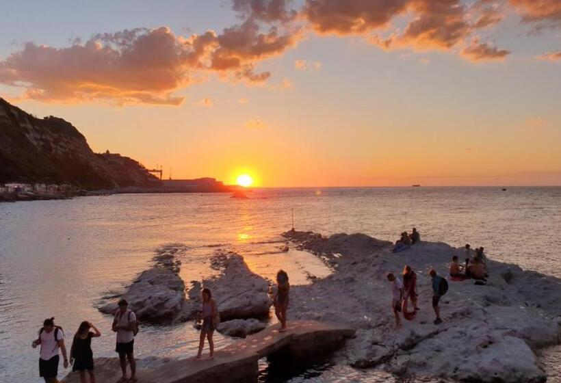 تختخواب و صبحانه Anconabed