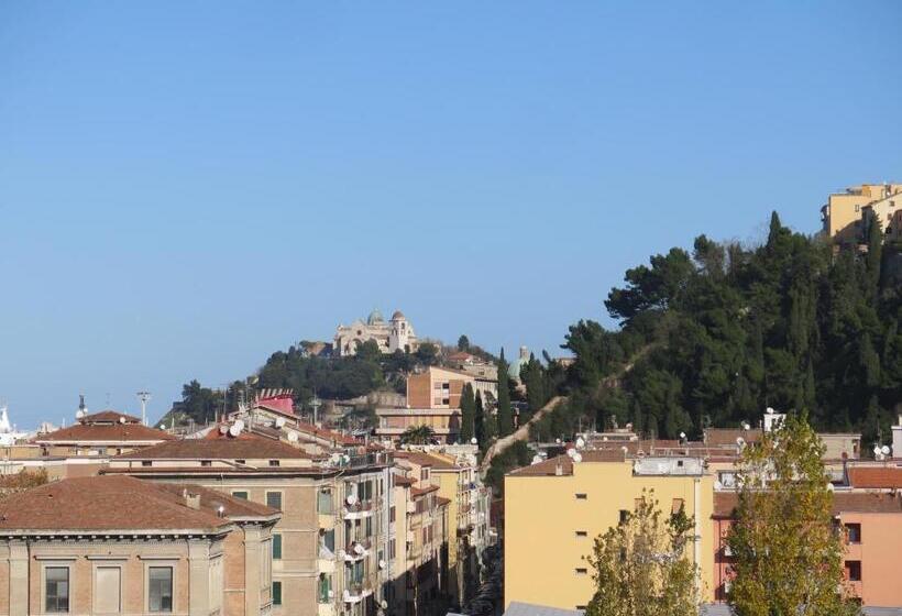 تختخواب و صبحانه Anconabed