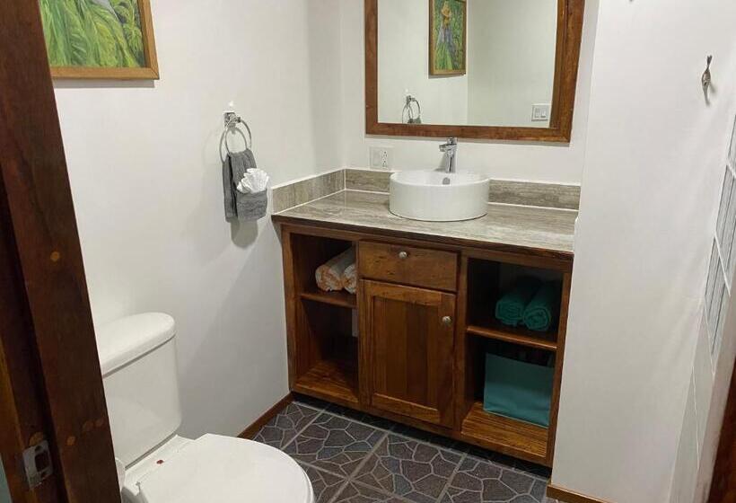 פנסיון Driftwood Gardens Guesthouse