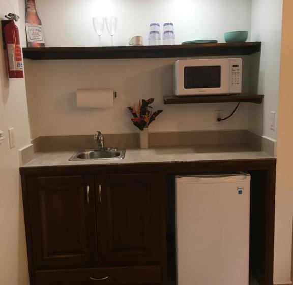 פנסיון Driftwood Gardens Guesthouse