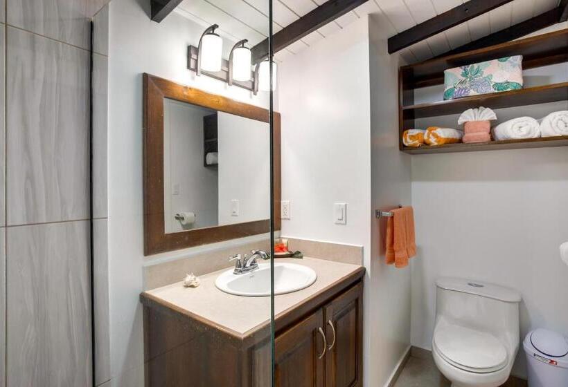 פנסיון Driftwood Gardens Guesthouse