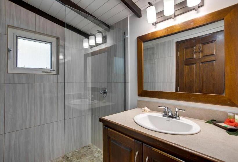 פנסיון Driftwood Gardens Guesthouse