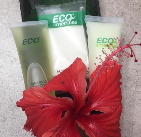 פנסיון Driftwood Gardens Guesthouse