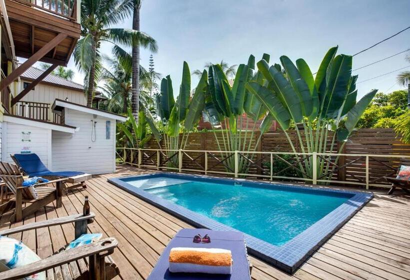 פנסיון Driftwood Gardens Guesthouse