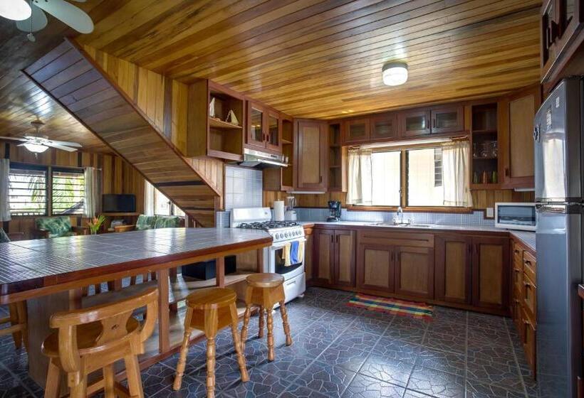 פנסיון Driftwood Gardens Guesthouse