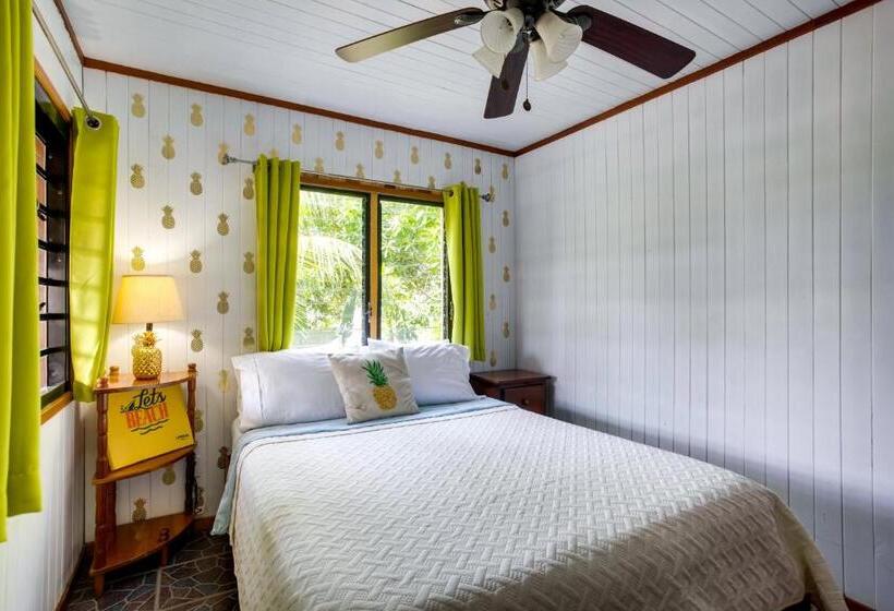 פנסיון Driftwood Gardens Guesthouse