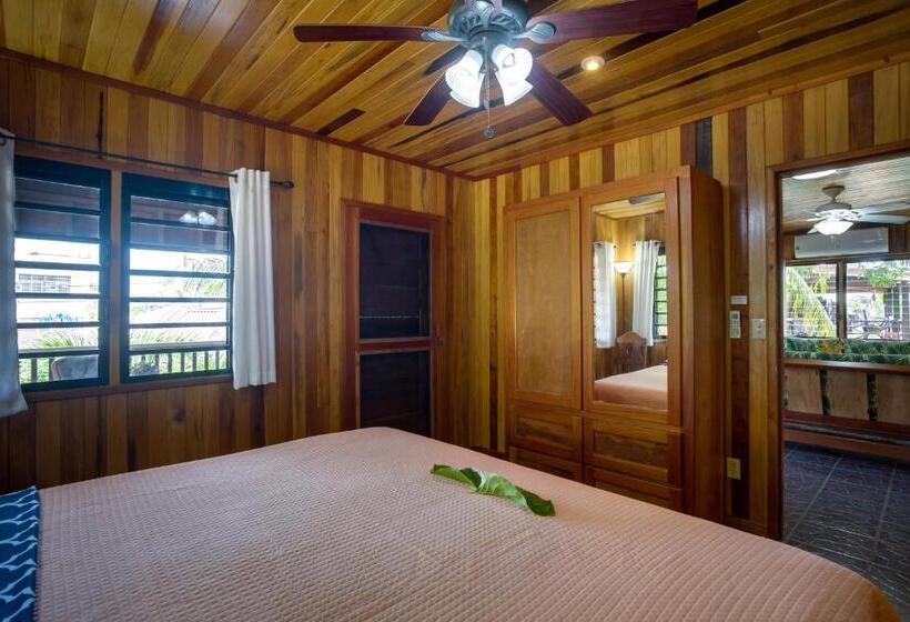 פנסיון Driftwood Gardens Guesthouse