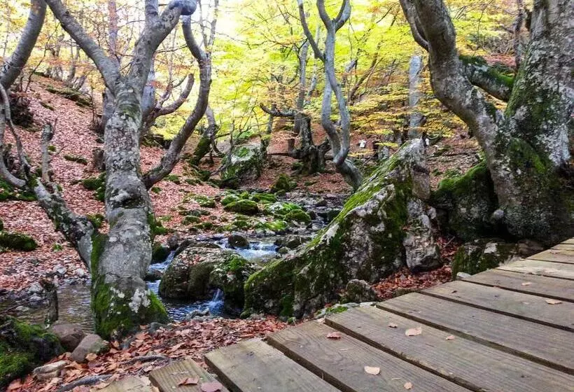 ペンション El Molino De La Ropería