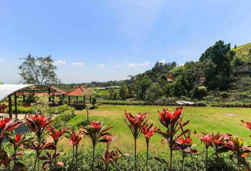 Pensionat Imk Inn By Obech