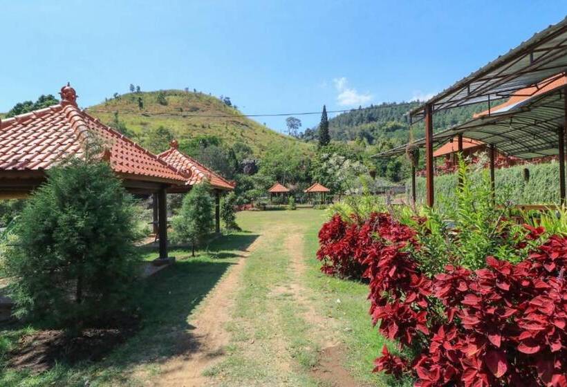 Pensionat Imk Inn By Obech