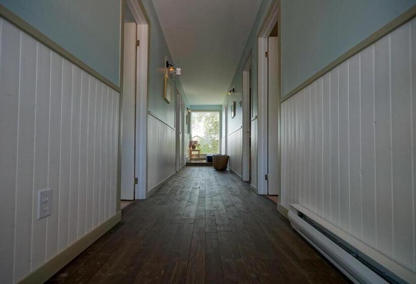 بنسيون Le Goéland