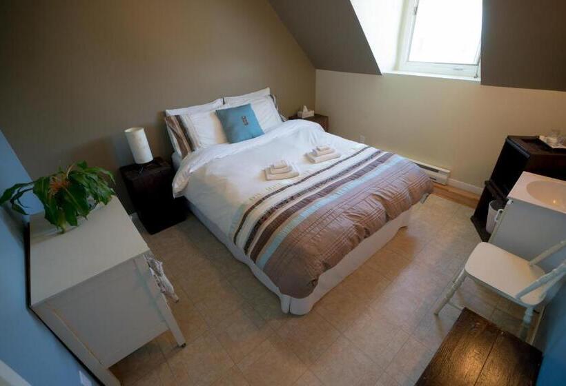 بنسيون Le Goéland