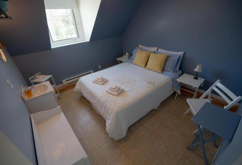 بنسيون Le Goéland