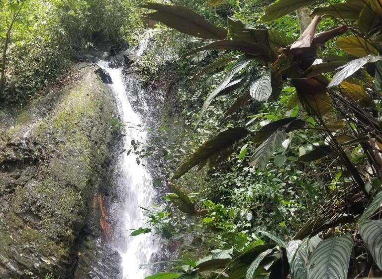 فندق Waterfall El Paraíso   Cabañas, Jacuzzi, Piscina Y Cascada En Medio De La Naturaleza